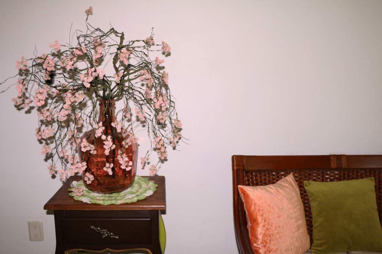 Exclusiva Villa En La Zona Hotelera De Ixtapa_Zihuatanejo Ixtapa  Esterno foto